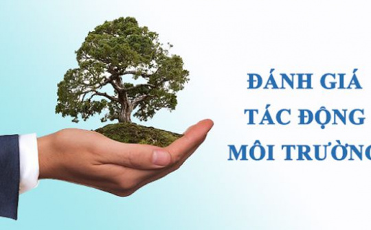Quy định về đánh giá sơ bộ tác động môi trường