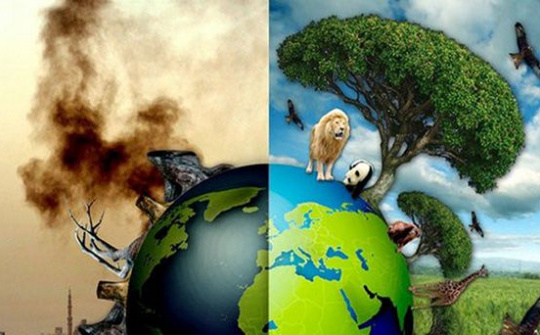 Cần hoàn thiện lại đối tượng đánh giá sơ bộ tác động môi trường