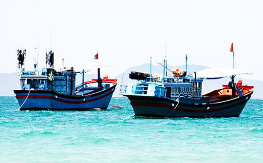 Xử lý nghiêm các tổ chức, cá nhân để tàu cá vi phạm vùng biển nước ngoài khai thác hải sản trái phép