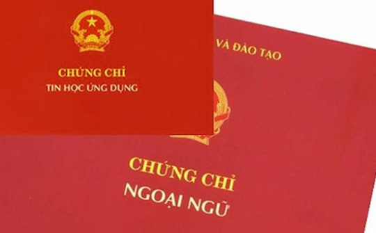 Chỉ đạo của Phó Thủ tướng Trương Hòa Bình về cắt giảm các chứng chỉ bồi dưỡng đối với công chức, viên chức