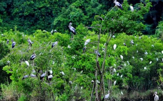 Quy định cụ thể về bảo vệ các thành phần môi trường