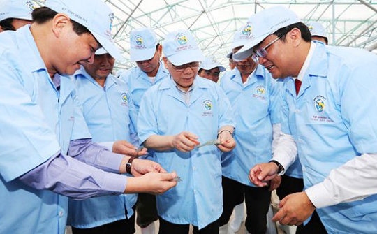 Một số giải pháp triển khai Nghị quyết Đại hội XIII của Đảng về phát triển kinh tế giai đoạn 2021 - 2025