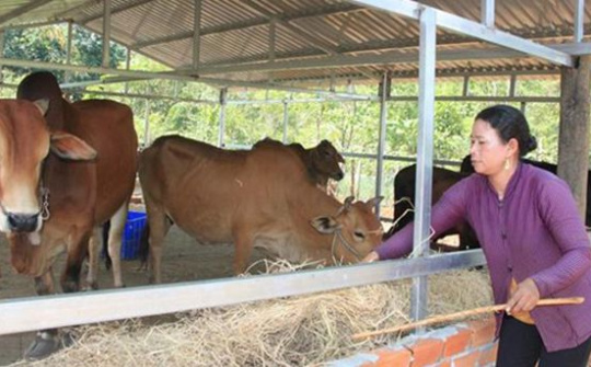 Chỉ thị của Ban Bí thư về tăng cường sự lãnh đạo của Đảng đối với công tác giảm nghèo bền vững đến năm 2030