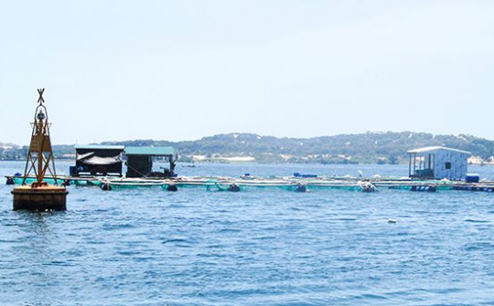 Quy định mức thu tiền sử dụng khu vực biển