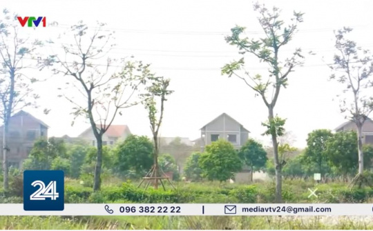 Đánh thuế bất động sản bỏ hoang