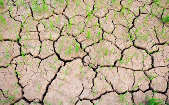 Đề xuất trình tự đánh giá tác động của biến đổi khí hậu