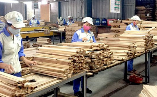 Quy định phân loại doanh nghiệp chế biến và xuất khẩu gỗ