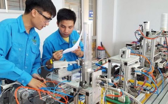 Quy định về công tác tư vấn hướng nghiệp, việc làm và hỗ trợ khởi nghiệp cho học sinh, sinh viên