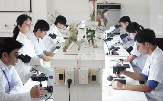 Ban hành Chương trình phát triển thị trường khoa học và công nghệ quốc gia