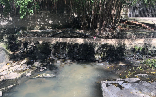 Tại huyện Tam Đảo (Vĩnh Phúc): Người dân khốn khổ vì trại lợn gây ô nhiễm, và dấu hiệu lấn chiếm đất rừng ?