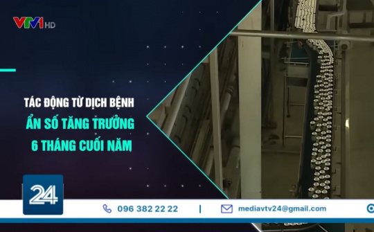 Tác động từ dịch bệnh - ẩn số tăng trưởng 6 tháng cuối năm