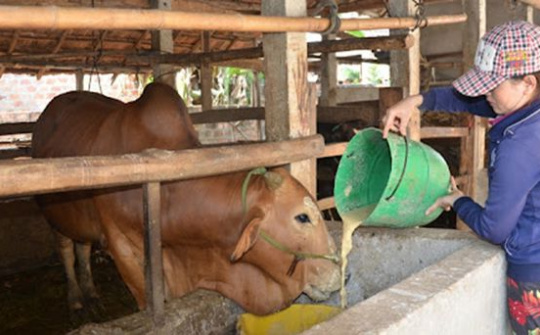 Quy định quy trình rà soát hộ nghèo, hộ cận nghèo hằng năm