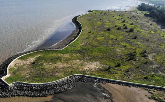 Nghị định mới quy định về hoạt động lấn biển cần được cân nhắc thận trọng