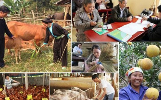 Đề xuất chủ trương đầu tư Chương trình mục tiêu quốc gia Giảm nghèo bền vững giai đoạn 2021-2025