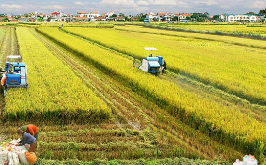 Khuyến khích doanh nghiệp đầu tư vào nông nghiệp, nông thôn