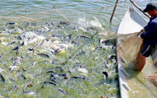 Chính sách khuyến khích doanh nghiệp đầu tư vào nông nghiệp, nông thôn