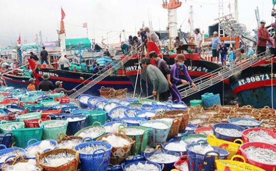 Quy định mới về xử phạt vi phạm hành chính trong lĩnh vực thủy sản