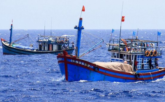 Chung tay, tích cực tuân thủ nghiêm các quy định về chống khai thác IUU