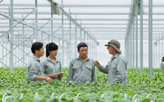 Kế hoạch phát triển kinh tế tập thể, hợp tác xã giai đoạn 2021-2025