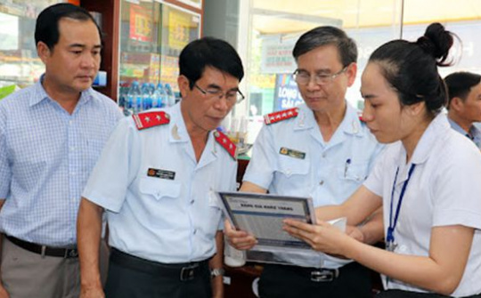 Quy định về tổ chức, hoạt động của đoàn thanh tra