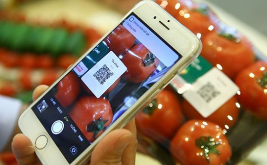 Kinh tế không tiếp xúc: Nhận diện và một số hàm ý chính sách