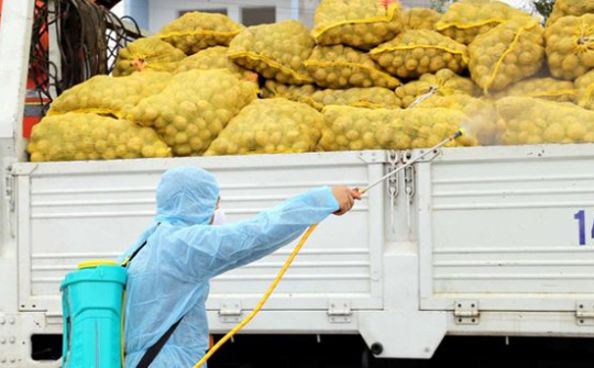 Đề nghị quan tâm một số biện pháp cấp bách để lưu thông hàng hóa kịp thời