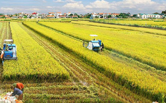 Khuyến khích phát triển cơ giới hóa đồng bộ trong nông nghiệp