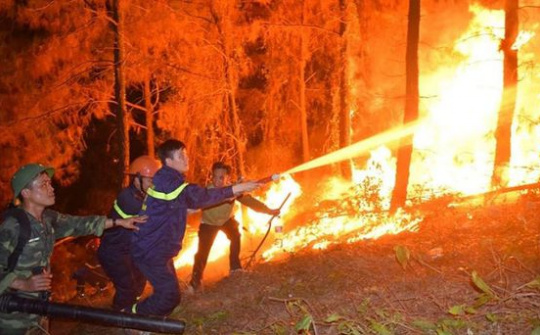 Tăng cường các biện pháp cấp bách phòng cháy, chữa cháy rừng