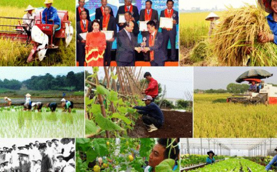 Tăng cường chỉ đạo phát triển sản xuất thủy sản, chăn nuôi các tháng cuối năm 2021