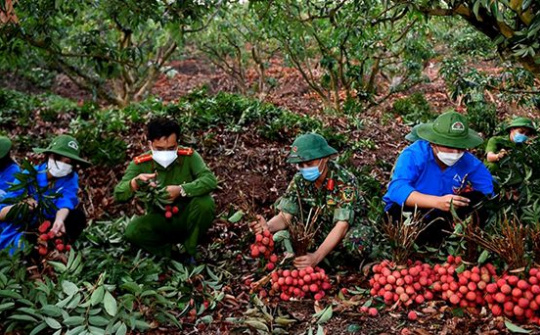 Phòng, chống sự xuyên tạc, phủ nhận vai trò lãnh đạo của Đảng đối với quân đội