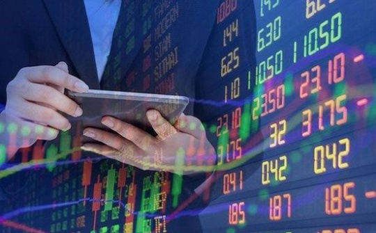 Nghĩa vụ của tổ chức, cá nhân với hoạt động đầu tư nước ngoài trên TTCK Việt Nam