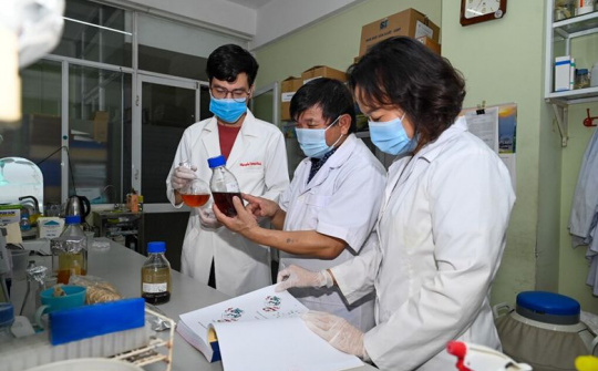 Việt Nam điều chế thành công thuốc điều trị COVID-19 bằng thảo dược