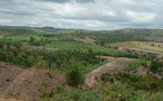 UBND tỉnh Gia Lai yêu cầu rà soát lại quy hoạch 3 loại rừng