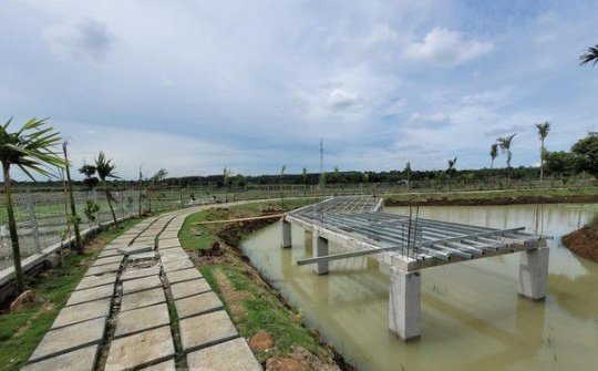 Đắk Lắk nhiều lần ban hành quyết định xử phạt san gạt, xây dựng trái phép nhưng vẫn tái diễn