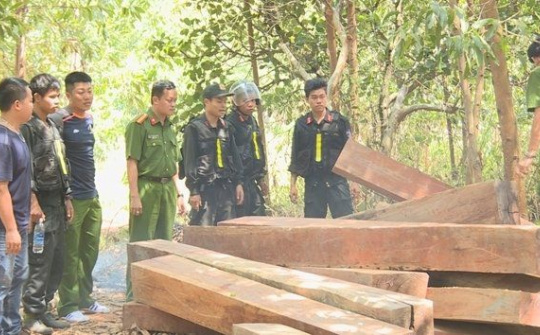 Truy tố 9 bị can vụ án làm mất hơn 300 ha rừng ở Đắk Lắk