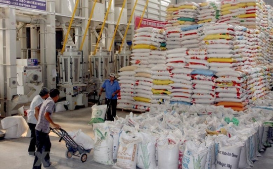 Xuất hơn 130.000 tấn gạo cho 24 tỉnh, thành phố hỗ trợ người dân gặp khó khăn do dịch COVID-19