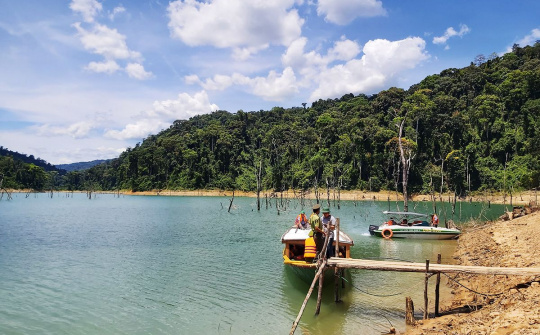 Thành lập Ban Quản lý Vườn Quốc gia Sông Thanh trực thuộc UBND tỉnh Quảng Nam