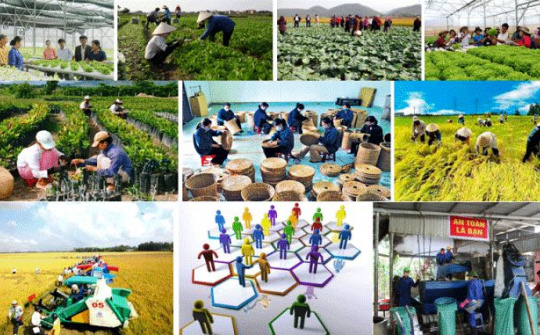 Yêu cầu đổi mới quản lý nhà nước đối với nền kinh tế thị trường định hướng XHCN ở nước ta hiện nay