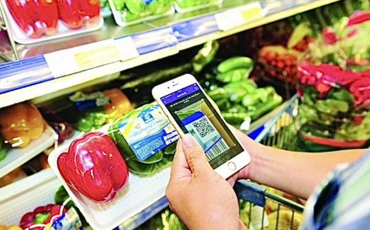 Đẩy nhanh quá trình phát triển chính phủ điện tử hướng đến chính phủ số, kinh tế số