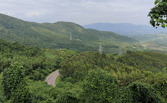 Gia Lai: Hiện trạng rừng có nhiều biến động
