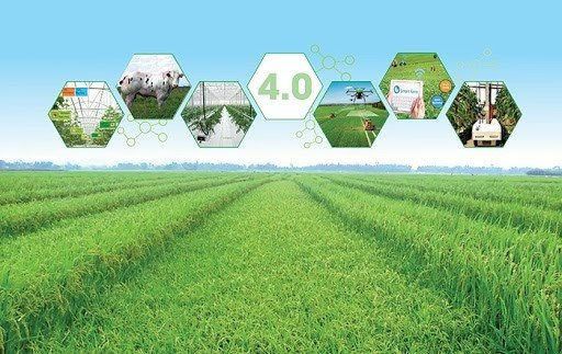 Cần hoàn thiện chính sách về vốn cho chuyển đổi nông nghiệp số, phát triển ngành nông nghiệp bền vững