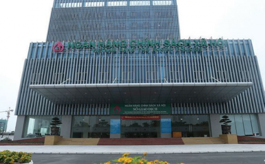 Chính phủ bổ nhiệm nhân sự Ngân hàng Chính sách xã hội