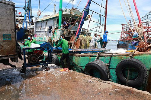Bình Thuận: Cho phép tàu thuyền gắn thiết bị giám sát hành trình đi khai thác thủy sản trên biển