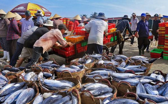 Bộ NN&PTNT dự thảo lập quy hoạch bảo vệ, khai thác nguồn lợi thủy sản tầm nhìn đến năm 2050