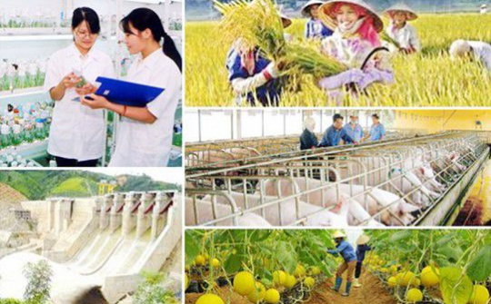 Chương trình mục tiêu quốc gia giảm nghèo bền vững 2021 – 2025