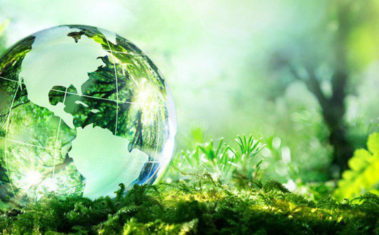 Quy định chi tiết một số điều của Luật Bảo vệ môi trường