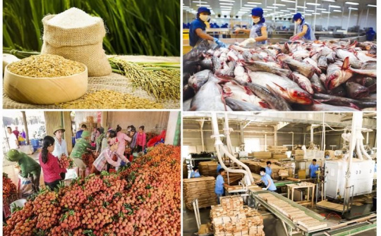 Chủ động triển khai các biện pháp điều hành giá kịp thời, hiệu quả