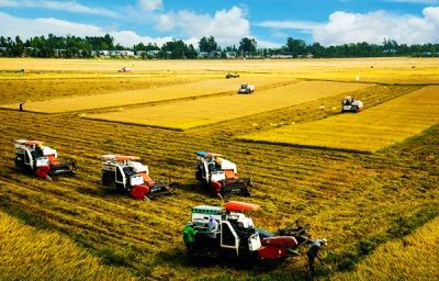 Kinh tế hợp tác xã trong bối cảnh Việt Nam hiện nay và kiến nghị sửa đổi Luật Hợp tác xã