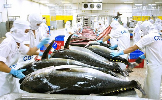 Đảm bảo xuất khẩu thủy sản không vi phạm quy định chống khai thác IUU