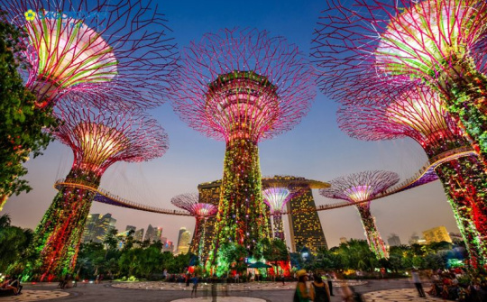 Phát triển chính sách xã hội ở Singapore và kinh nghiệm cho Việt Nam